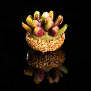 Sésame bouquet