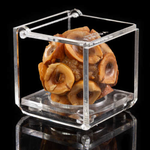 Boîte Plexi individuelle – Image 17