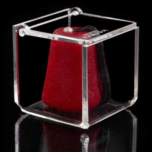 Boîte Plexi individuelle – Image 16
