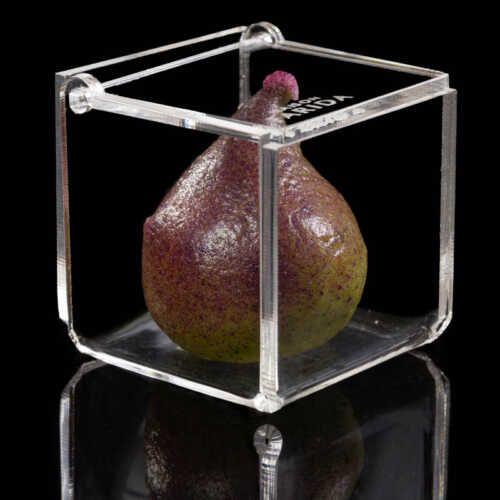 Boîte Plexi individuelle – Image 15