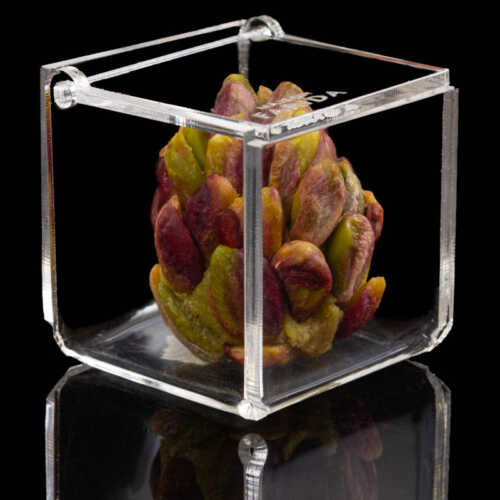 Boîte Plexi individuelle – Image 9