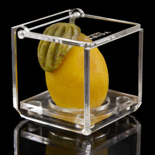 Boîte Plexi individuelle – Image 11
