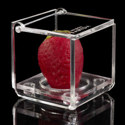 Boîte Plexi individuelle – Image 12