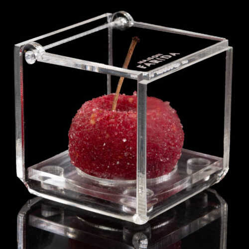 Boîte Plexi individuelle – Image 14
