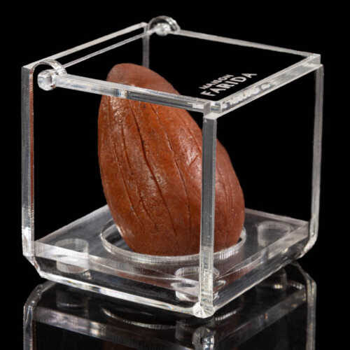 Boîte Plexi individuelle – Image 6