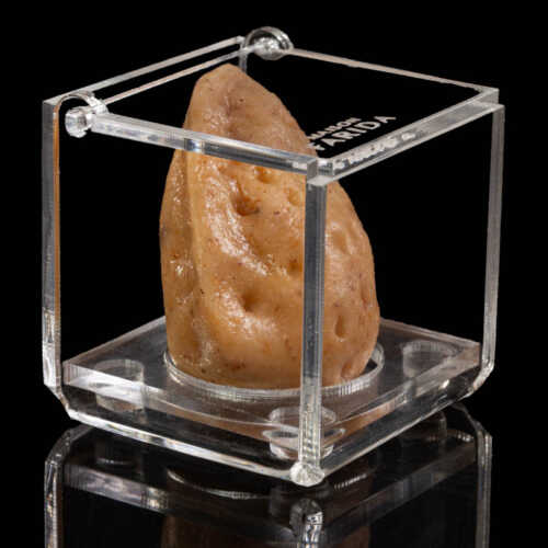 Boîte Plexi individuelle – Image 5